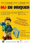 AFFICHE EXPO LEGO MJ EN BRIQUE