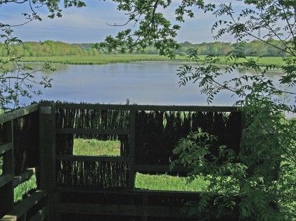 Observatoire-près-du-marais-de-Juigné