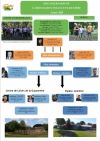 organigramme 2020