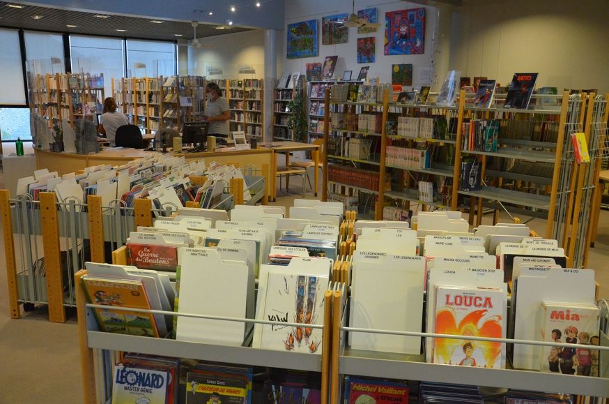 intérieur-bibliothèque