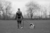 chien laisse