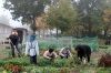 jardins-familiaux