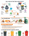 Infographie tri déchets