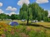 camping_2021_vue_générale