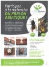 affiche-frelon-asiatique