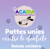 ACADIA