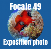 vignette expo photo