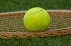 balle de tennis