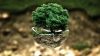 environmental-protection-683437_1280