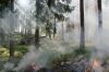 incendie forêt