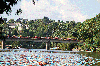 Pont-de-Juigné