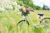 vélo