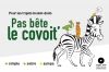 Web-campagne-covoit-600x400-alm
