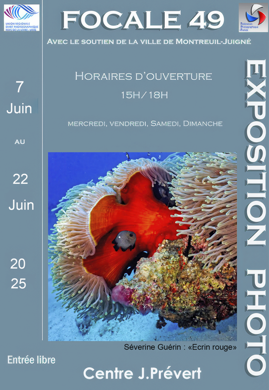 Affiche2025 Focale 49 (002)