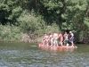 big-paddle