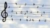 chant-note musique