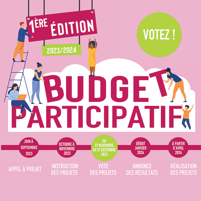 budget_participatif_vote copie