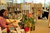Bibliotheque accueil public - nov 201564659