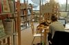 Bibliotheque accueil public - nov 201564662