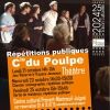 Vignette-siteRS_Poulpe
